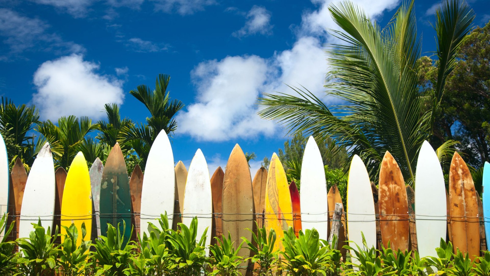Gelaran World Surf League (WSL) Krui Pro Qualifying Series (QS) 6000 Tahun 2025: Destinasi Pariwisata Olahraga Yang Menarik Perhatian